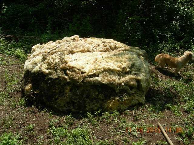 arčilend